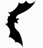Bat Pattern