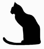 Cat Pattern