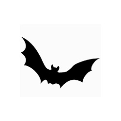 Bat Pattern